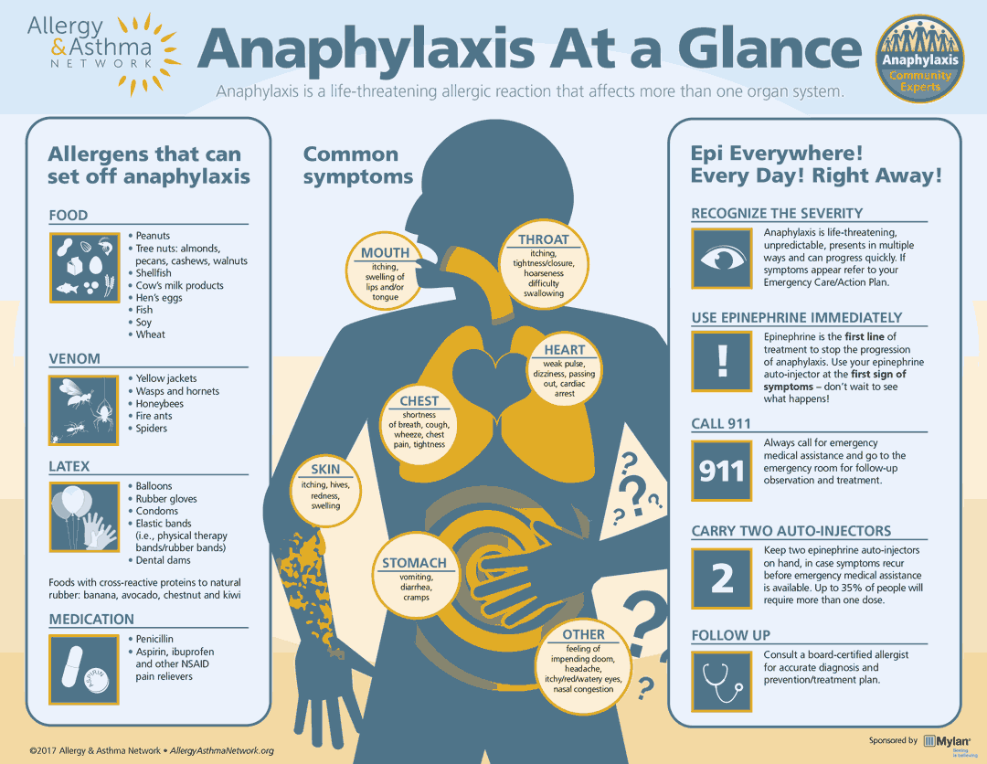 Image of the Infographic "Anaphylaxis at a glance"