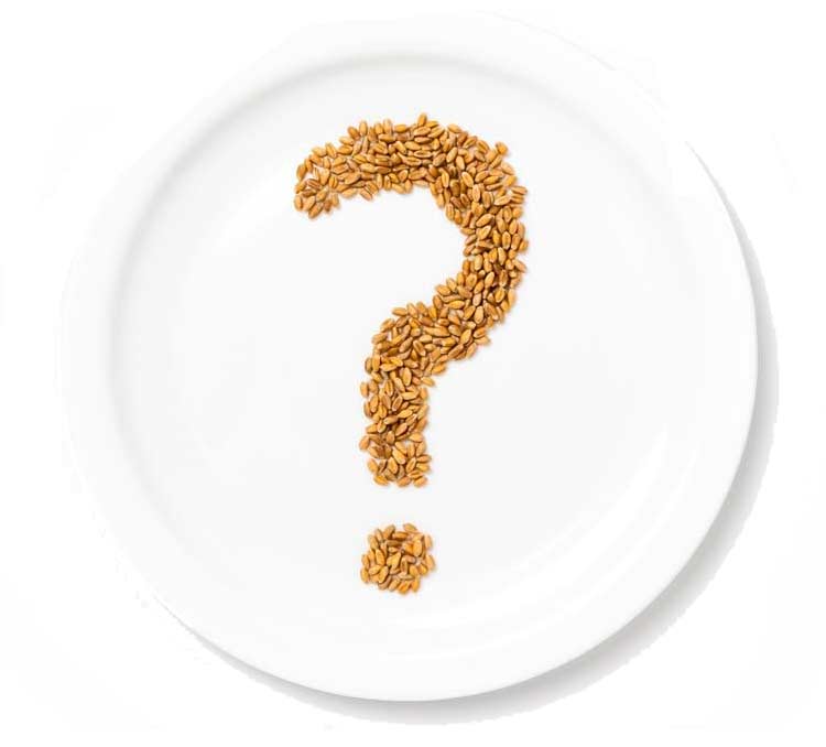 Question of food concept with a white dish on a white background. On the dish is a question mark made with whole grain seeds.