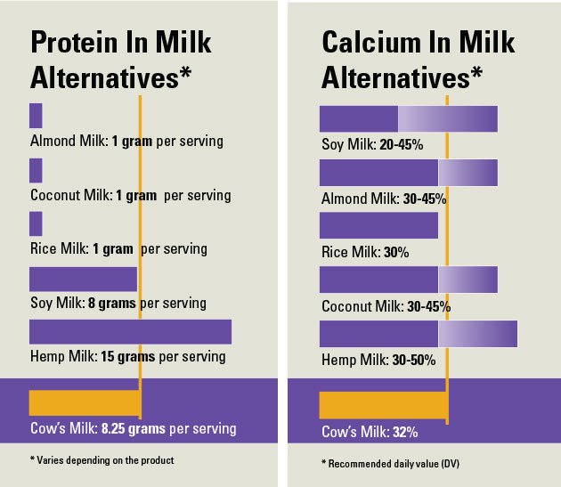 Milk chart of protein in vegan vs dairy milk