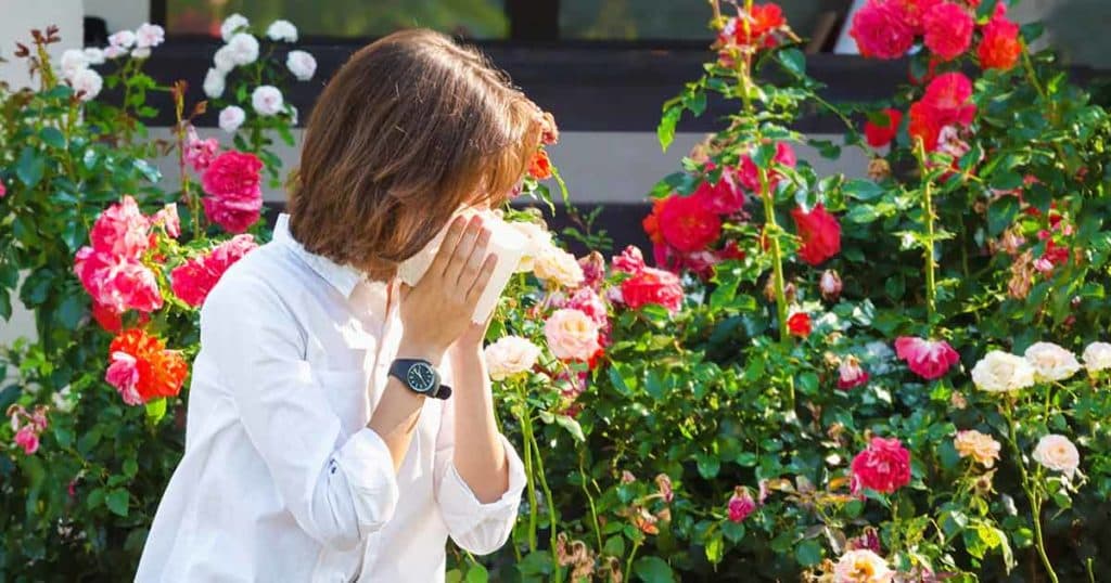 Photo of woman sneezing into a tissue near some rose bushes.