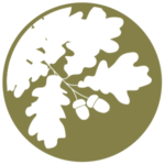 icon of oak tree