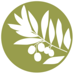 Icon of olive tree