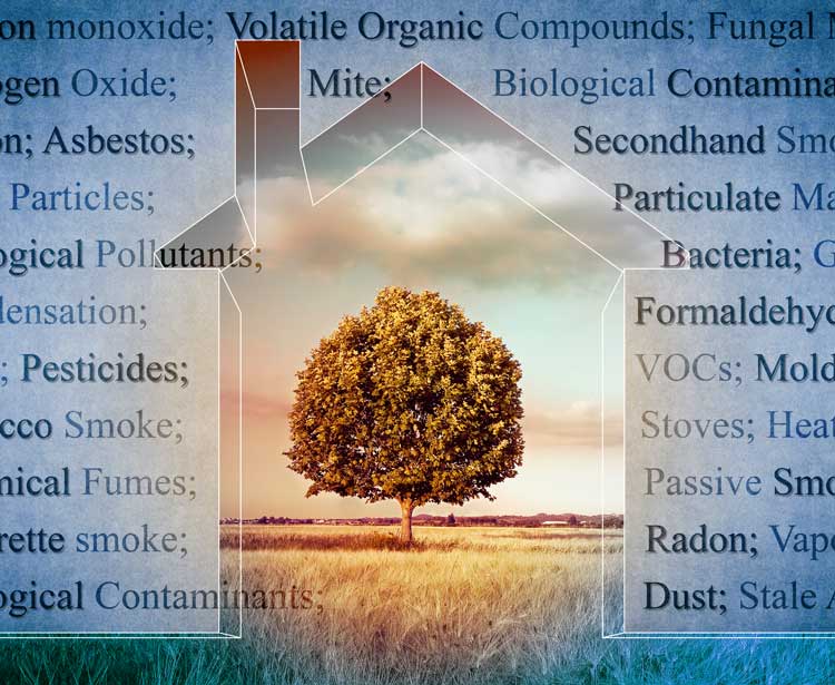 Photo montage of house graphic, tree, and air pollution contaminant words