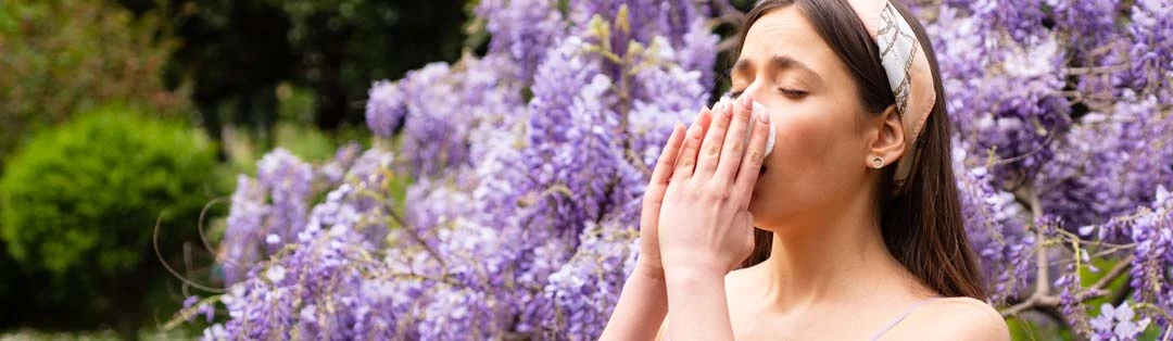 Woman outside near a lilac bush feeling allergies from the pollen